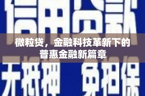 庄浪微粒贷，金融科技革新下的普惠金融新篇章