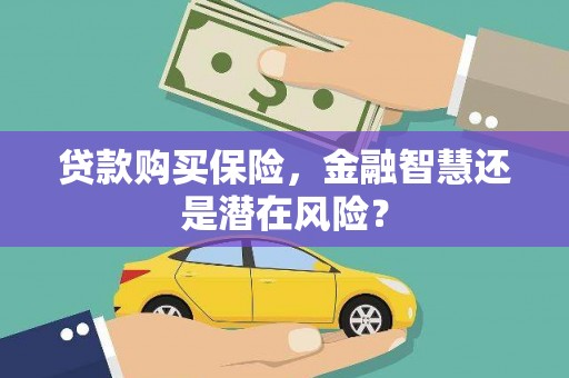 庄浪贷款购买保险，金融智慧还是潜在风险？