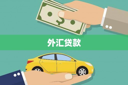 庄浪外汇贷款