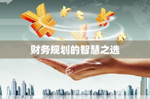 庄浪财务规划的智慧之选