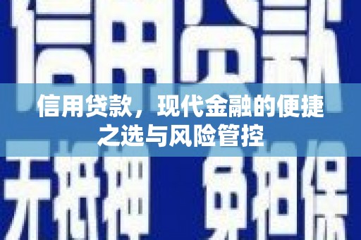 庄浪信用贷款，现代金融的便捷之选与风险管控