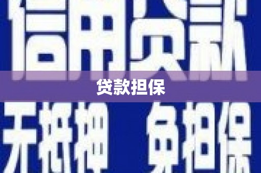 庄浪贷款担保