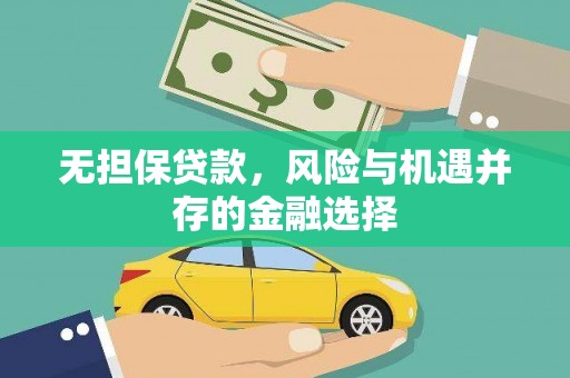 庄浪无担保贷款，风险与机遇并存的金融选择