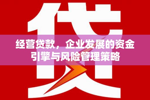 庄浪经营贷款，企业发展的资金引擎与风险管理策略