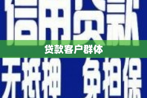 庄浪贷款客户群体