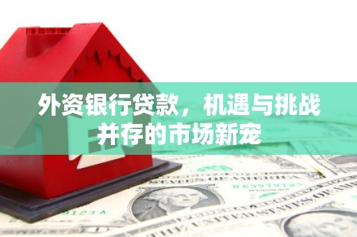 庄浪外资银行贷款，机遇与挑战并存的市场新宠