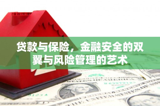 庄浪贷款与保险，金融安全的双翼与风险管理的艺术