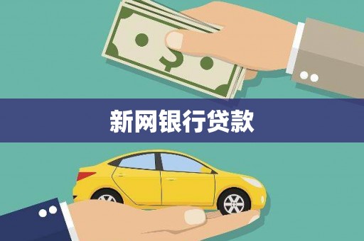 庄浪新网银行贷款