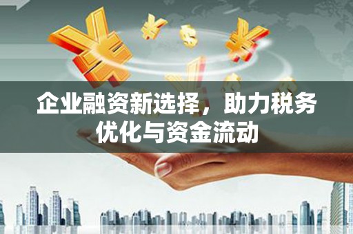 庄浪企业融资新选择，助力税务优化与资金流动