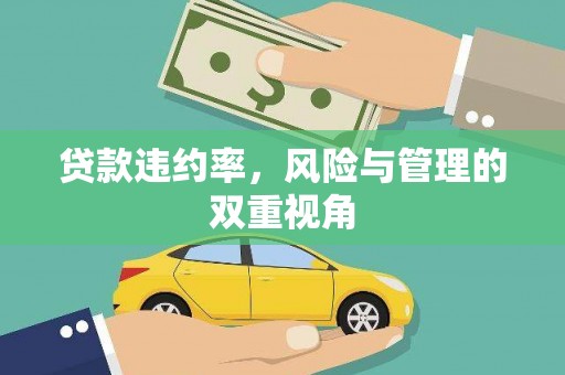 庄浪贷款违约率，风险与管理的双重视角