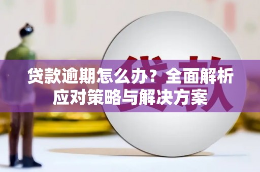 庄浪贷款逾期怎么办？全面解析应对策略与解决方案
