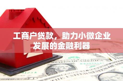 庄浪工商户贷款，助力小微企业发展的金融利器