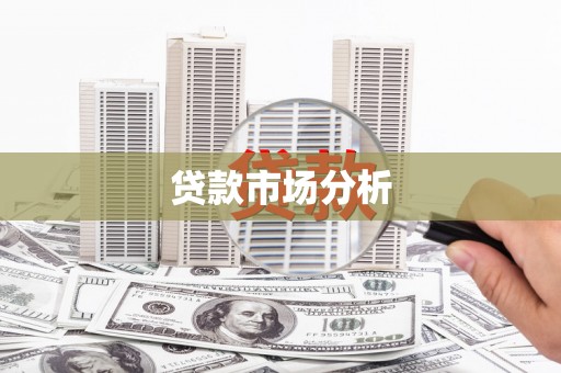 庄浪贷款市场分析