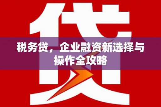 庄浪税务贷，企业融资新选择与操作全攻略