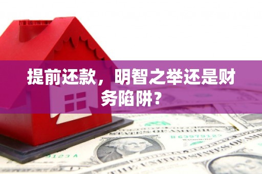 庄浪提前还款，明智之举还是财务陷阱？
