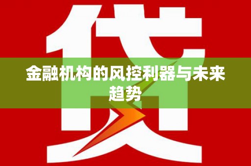庄浪金融机构的风控利器与未来趋势