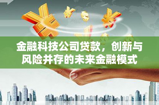 庄浪金融科技公司贷款，创新与风险并存的未来金融模式