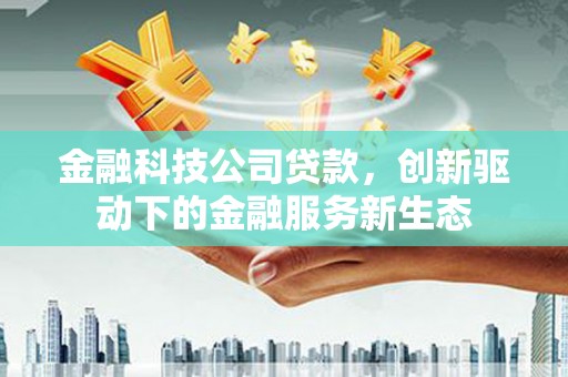 庄浪金融科技公司贷款，创新驱动下的金融服务新生态