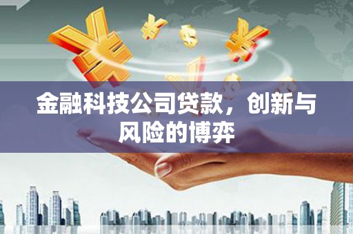 庄浪金融科技公司贷款，创新与风险的博弈