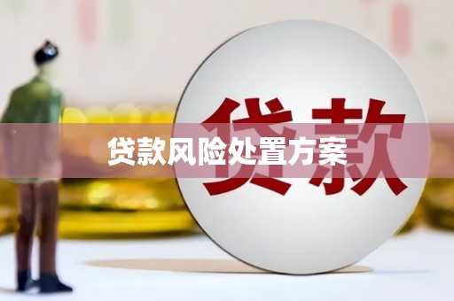 庄浪贷款风险处置方案