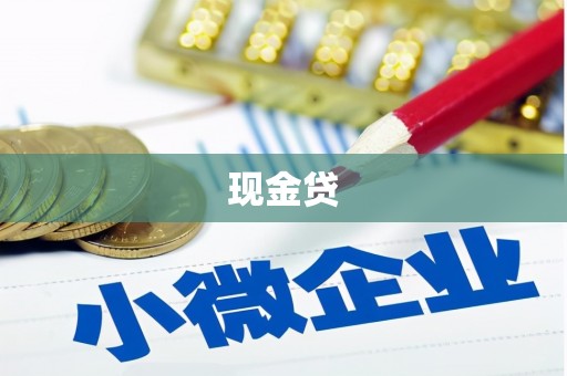 庄浪现金贷