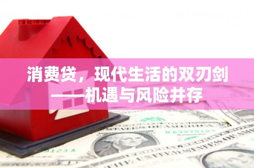 庄浪消费贷，现代生活的双刃剑——机遇与风险并存
