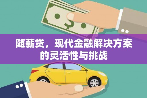 庄浪随薪贷，现代金融解决方案的灵活性与挑战