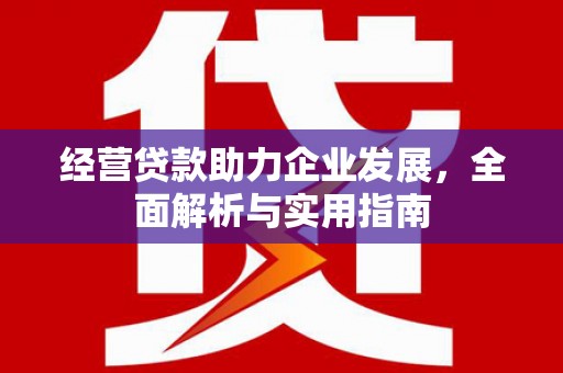 庄浪经营贷款助力企业发展，全面解析与实用指南