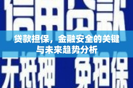 庄浪贷款担保，金融安全的关键与未来趋势分析