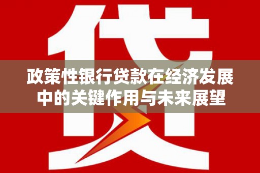 庄浪政策性银行贷款在经济发展中的关键作用与未来展望