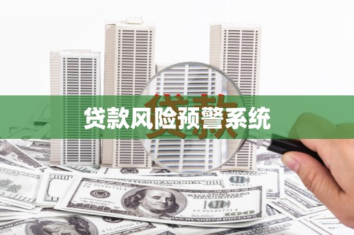 庄浪贷款风险预警系统