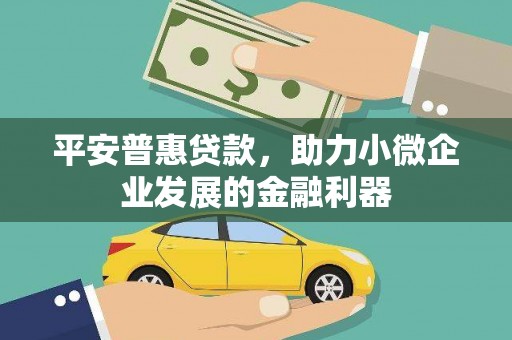庄浪平安普惠贷款，助力小微企业发展的金融利器