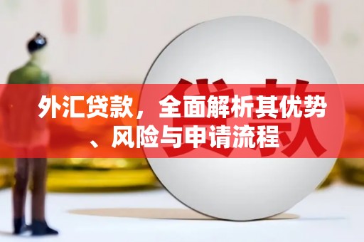 庄浪外汇贷款，全面解析其优势、风险与申请流程