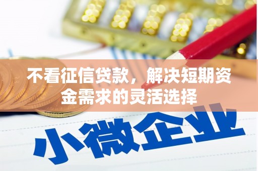 庄浪不看征信贷款，解决短期资金需求的灵活选择