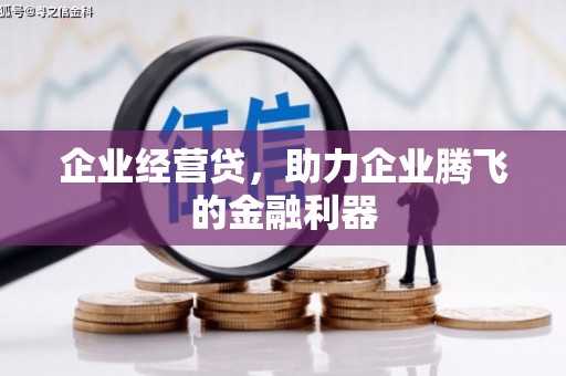 庄浪企业经营贷，助力企业腾飞的金融利器