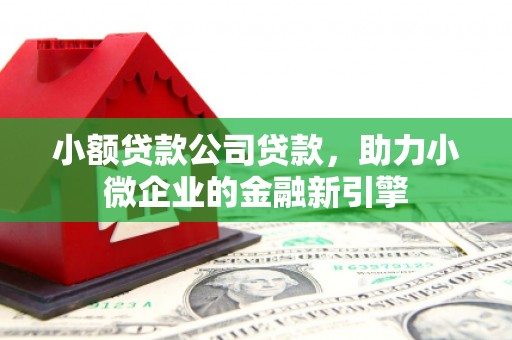 庄浪小额贷款公司贷款，助力小微企业的金融新引擎