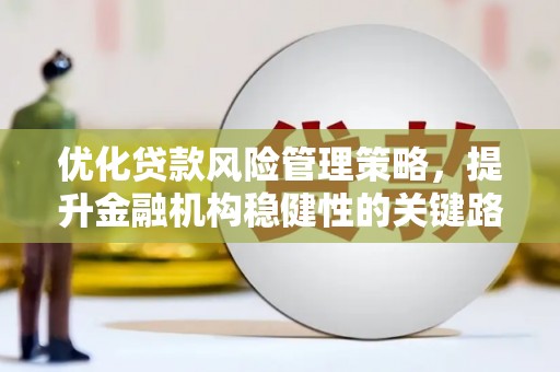 庄浪优化贷款风险管理策略，提升金融机构稳健性的关键路径
