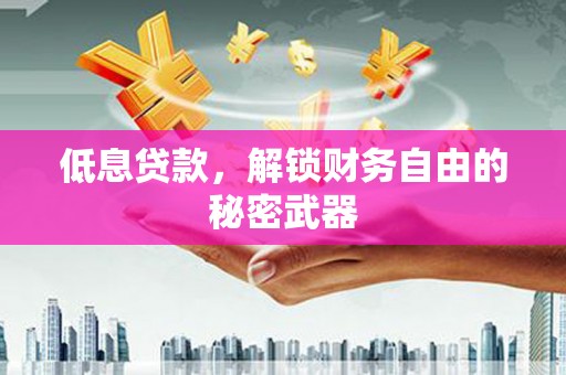 庄浪低息贷款，解锁财务自由的秘密武器