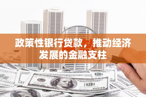 庄浪政策性银行贷款，推动经济发展的金融支柱