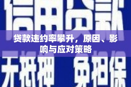 庄浪贷款违约率攀升，原因、影响与应对策略