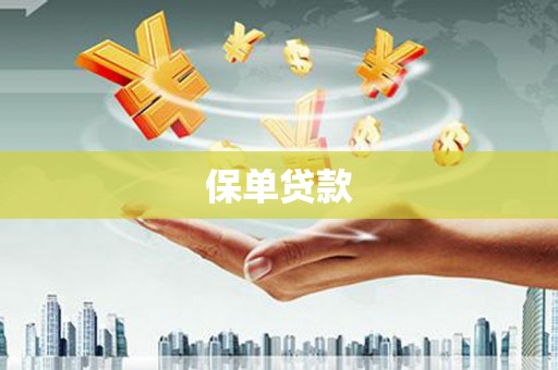 庄浪保单贷款