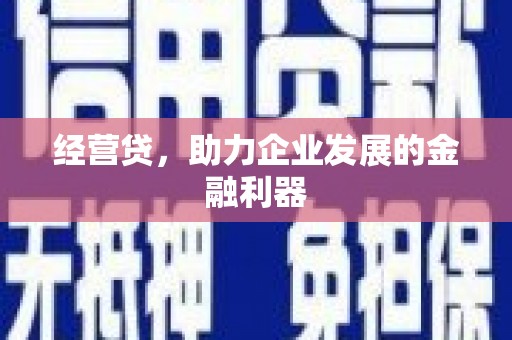 庄浪经营贷，助力企业发展的金融利器