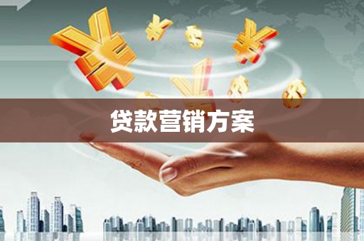 庄浪贷款营销方案