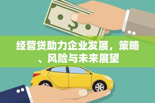 庄浪经营贷助力企业发展，策略、风险与未来展望