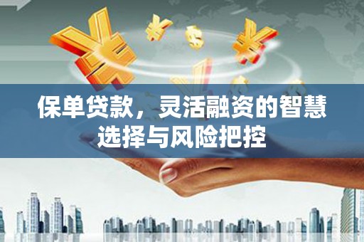 庄浪保单贷款，灵活融资的智慧选择与风险把控