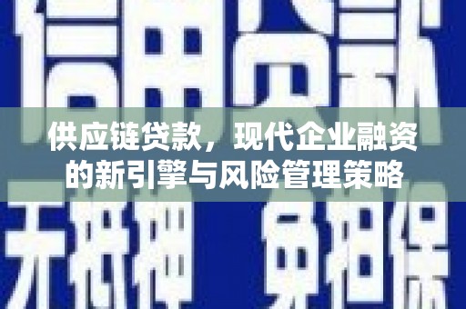 庄浪供应链贷款，现代企业融资的新引擎与风险管理策略