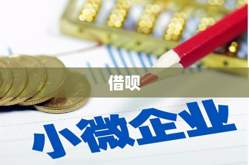 庄浪借呗