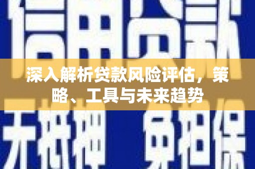 庄浪深入解析贷款风险评估，策略、工具与未来趋势