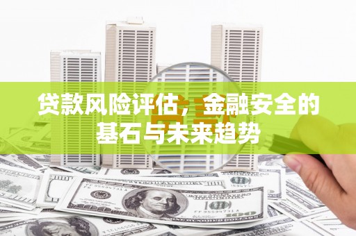 庄浪贷款风险评估，金融安全的基石与未来趋势