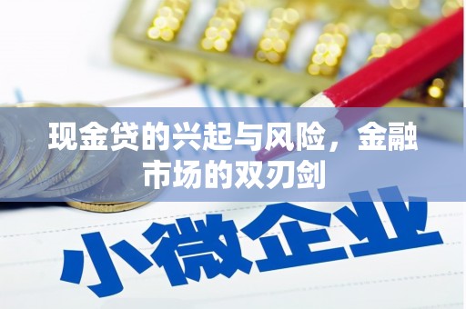 庄浪现金贷的兴起与风险，金融市场的双刃剑